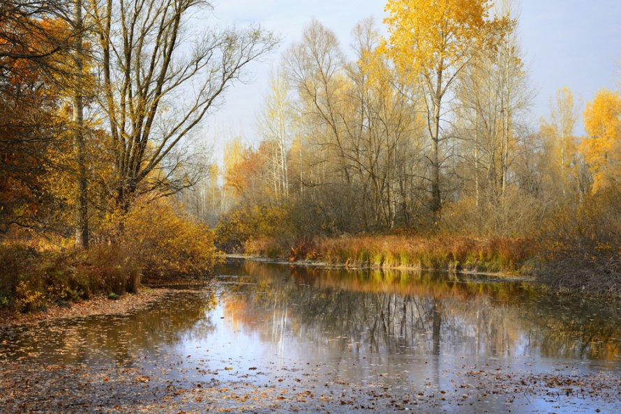 План мероприятий на октябрь 