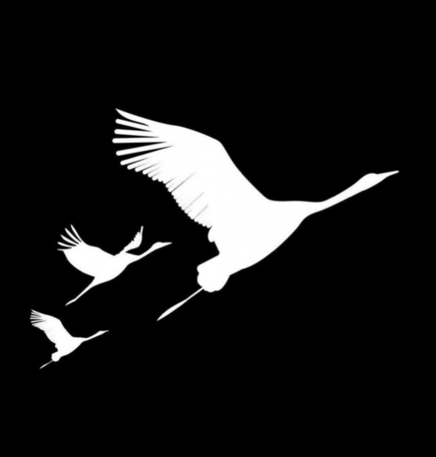 Акция памяти "Журавли"